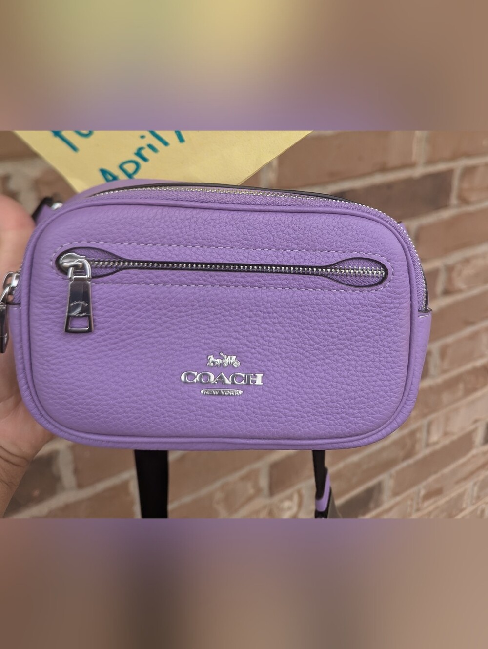 Coach Mini Belt Bag Fanny Pack Iris Purple Pebbled Leather CL479
